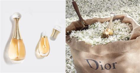 j'adore dior recensioni